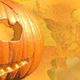 Illustration for article titled Facts About Pumpkins